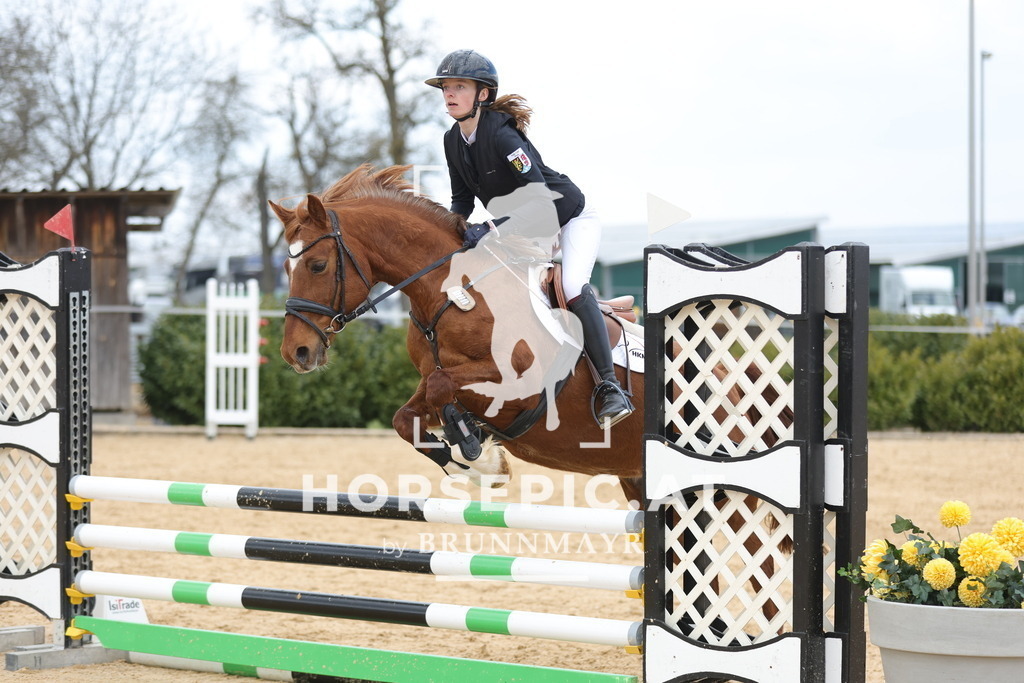 0P6A8093 | Willkommen bei Brunnmayr - Design & Fotografie – Ihrem Spezialisten für Reitturniere und Pferdeveranstaltungen in Oberösterreich, Salzburg und Bayern! Seit über 17 Jahren sind wir leidenschaftlich dabei.