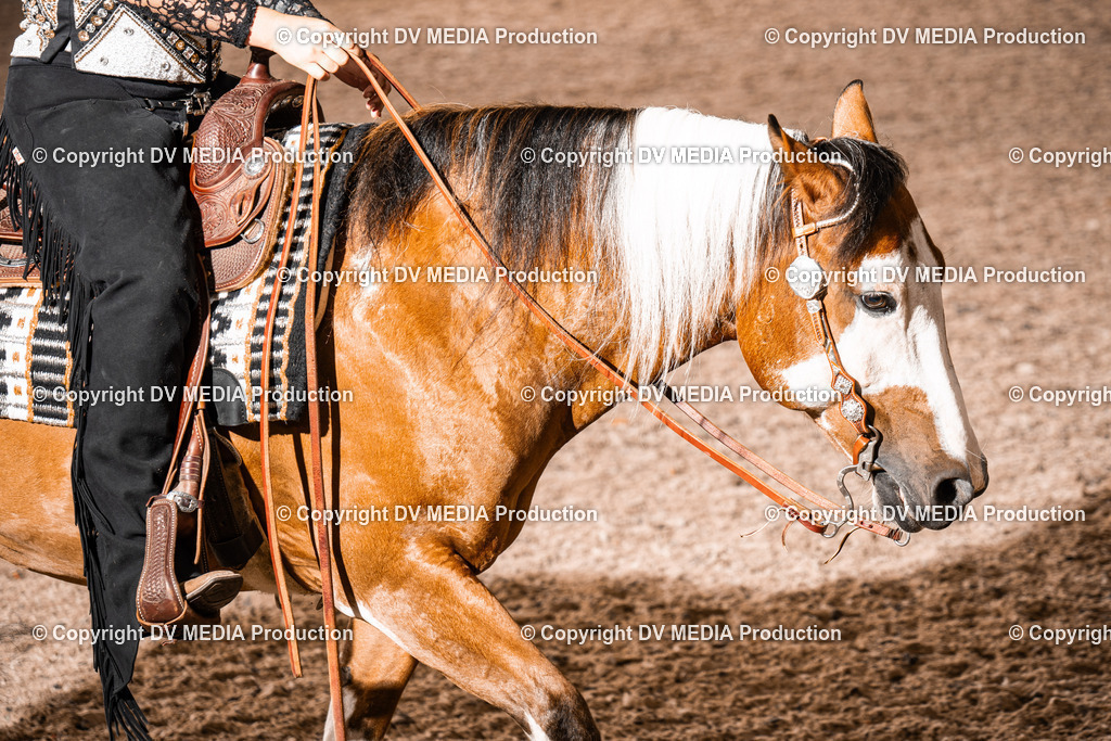 ZH300382 | dv-media-shop - Realisiert mit Pictrs.com