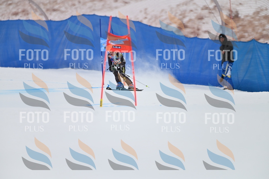 BGV_2419 | holidayphoto