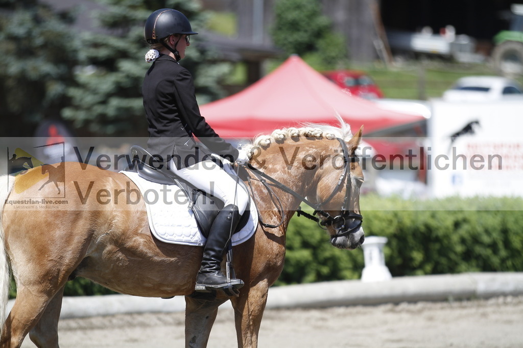 _MG_3809 | equestrian-live-com