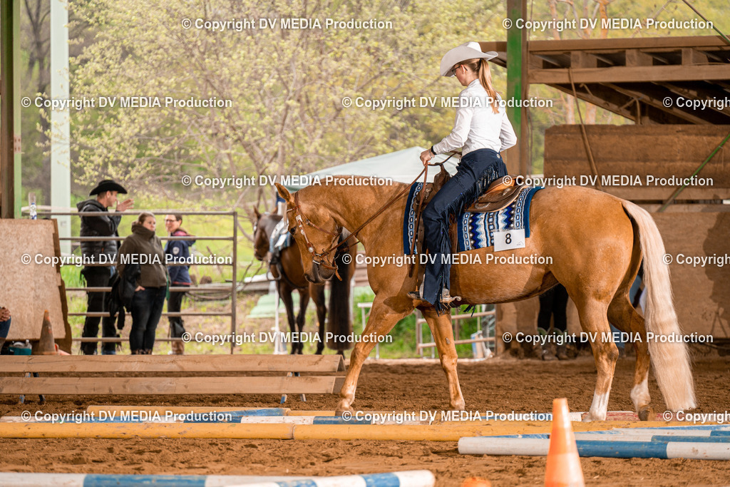 BA300288 | dv-media-shop - Realisiert mit Pictrs.com