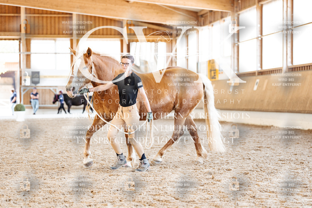 CK906730 | Turnierfotografie Pferdefotografie Trier Rheinland-Pfalz Pferdesport Reitsport Tierfotografie Sportfotografie Pferdevideo Pferdevideografie Equestrianvideography equestrianphotography  - Realisiert mit Pictrs.com