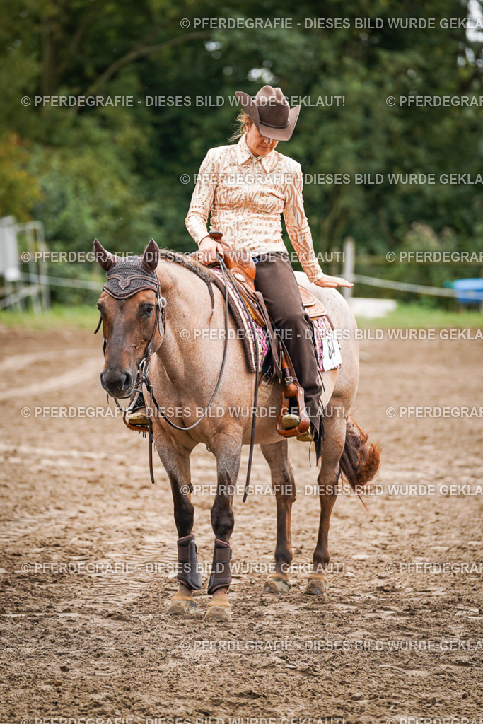 DSC04827 | Pferdegrafie