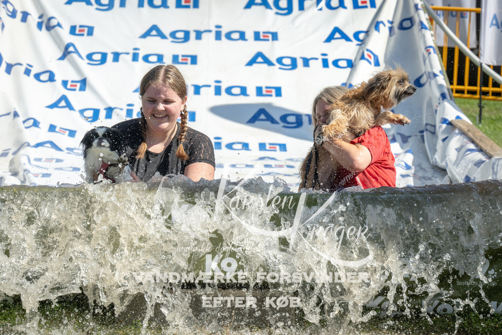 1136_ZZ92990 | kk-dogfotos