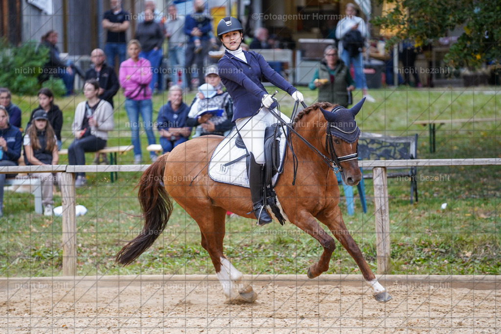 20231007-SN_00796 | Professionelle Turnier- und Reitsportfotografie - mit dem Finger am Auslöser. Pferdebilder aus dem Reitsport von den Turnierfotografen  Bayern , Pferdefotograf Bayern, Pferdeshooting Turnierbilder, Hochzeitsfotograf, Eventfotograf, Hochzeitsbilder