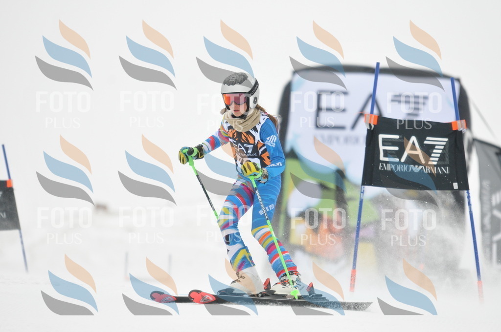 DSC_7626 | holidayphoto