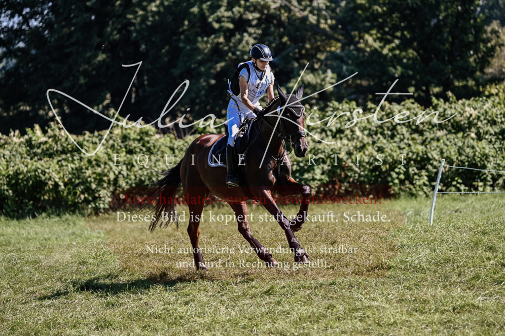 DSC_1765 | Pferde- und Turnierfotografie in Westsachsen. Pferdeportraits, Auftragszeichnungen und intuitive Kunst.