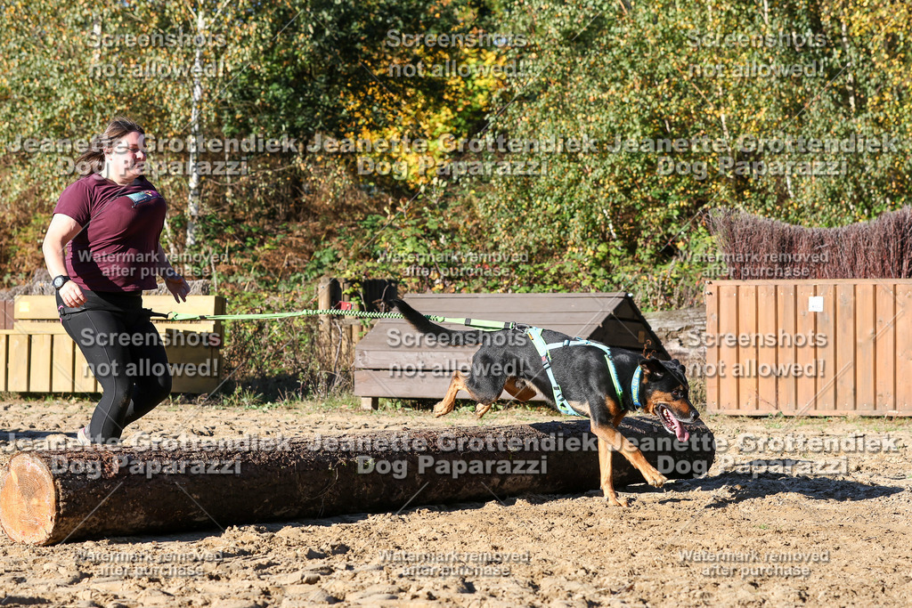 Dog Paparazzi - Strongdog 10-25-1896 | Dog Paparazzi Jeanette Grottendiek Fotografie & Videografie - Realisiert mit Pictrs.com