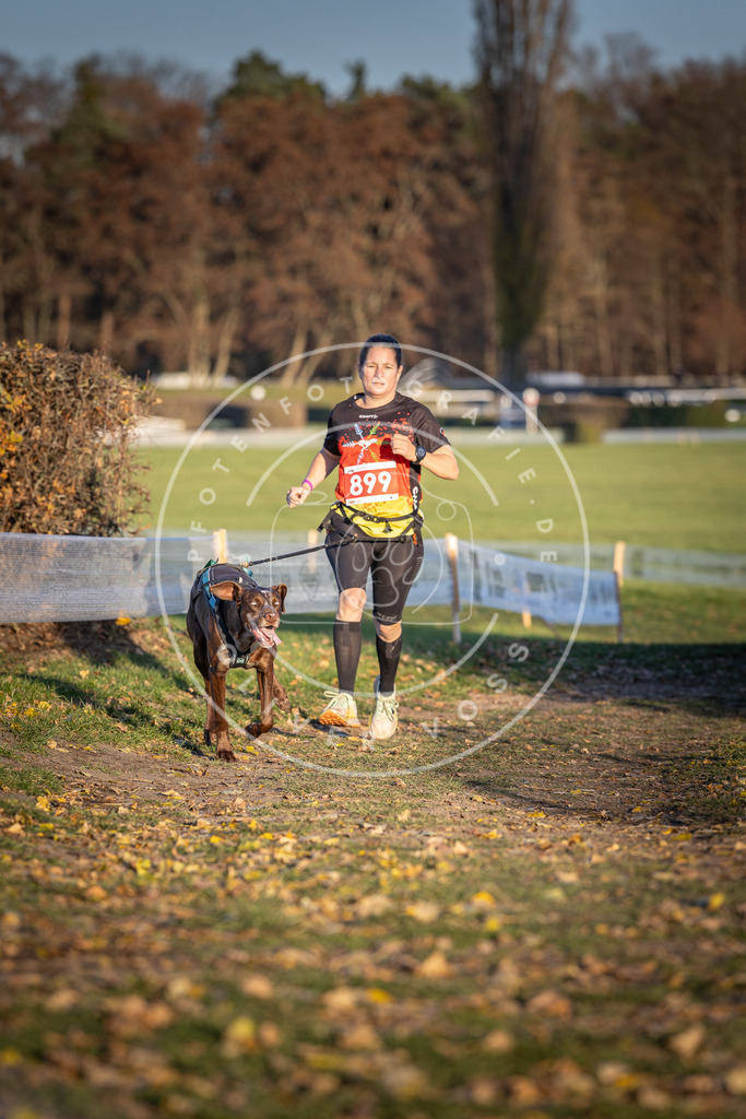 CaniXpix_DV3A4562 | Hundefotografie, Tierfotograf, Pfotenfotografie, Fotoshooting Hund, Hunde Portrait, Hundesport, Hundeportraits, Heideshooting, Hunde, Sportfotograf, Hundefotograf, Turnierhundsport, THS,  - Realisiert mit Pictrs.com