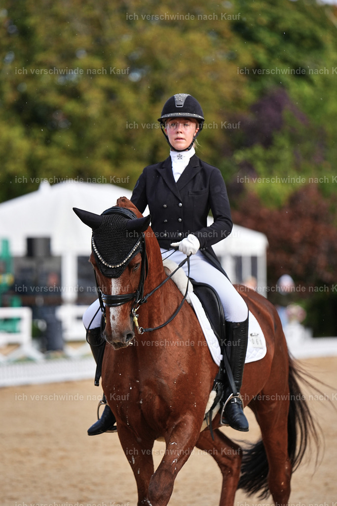 10-061-ST.GEORG SPECIAL -Marixx-3329 | working equitationturnier fotograf videograf stoibphotography marixx film working equitation deutschland reitsport turnierfotografie eventfotografie equestrian events