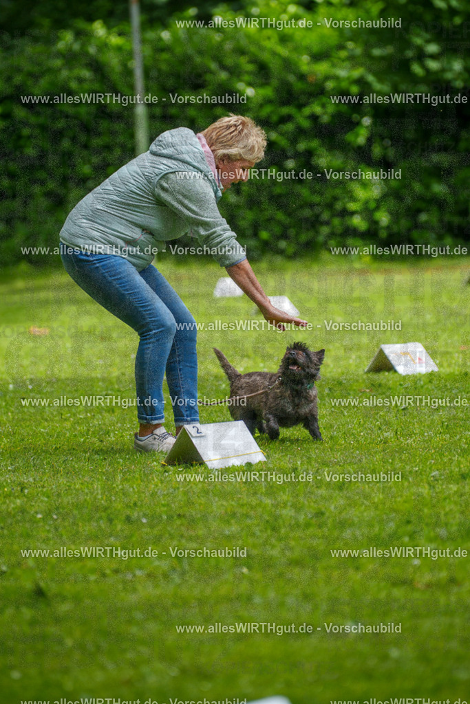 @allesWIRTHgut_Tierfotografie - www.allesWIRTHgut.de - 7R504417 | Professionelle Tierfotografie in Mönchengladbach von Daniel Wirth (allesWIRTHgut). Liebevolle & natürliche Bilder von Hunden & Katzen für unvergessliche Erinnerungen.