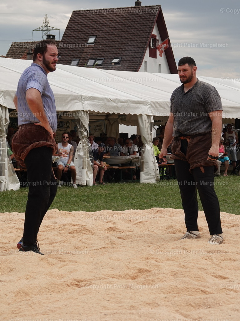 DSC05147 | Schwingen - Realisiert mit Pictrs.com