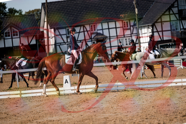 2026_10_03_Siefer-Hof_123434_Z63_52797479 | Professionelle Reitsport-, Turnier- und Eventfotografie von Robert Broda. Galerien mit ausgewählten und bearbeiteten Bildern direkt online ansehen und bestellen.