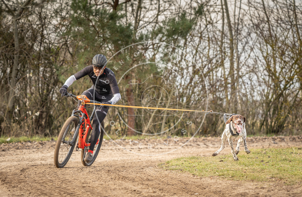 Pfotenfotografie_DV3A7097 | Hundefotografie, Tierfotograf, Pfotenfotografie, Fotoshooting Hund, Hunde Portrait, Hundesport, Hundeportraits, Heideshooting, Hunde, Sportfotograf, Hundefotograf, Turnierhundsport, THS,  - Realisiert mit Pictrs.com