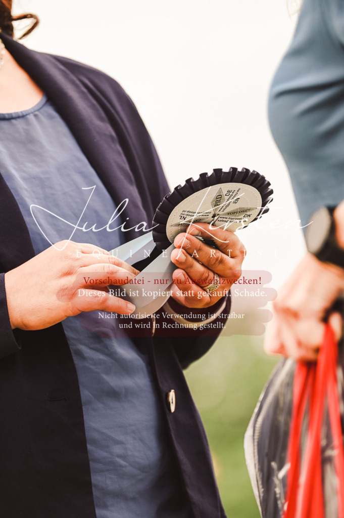 DSC_5151 | Pferde- und Turnierfotografie in Westsachsen. Pferdeportraits, Auftragszeichnungen und intuitive Kunst.
