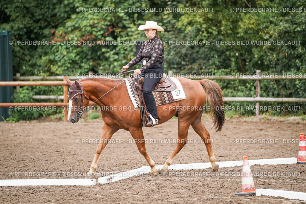 DSC03021 | Pferdegrafie