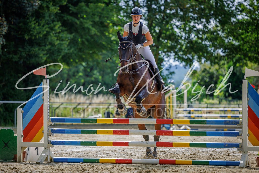 20260705-_3LI4426 | Tierfotografie Pferde, Hunde, Katzen, Haustiere.
Turnierfotografie Reitturniere, Reiten, Springreiten, Dressur in Hanau, dem Main-Kinzig-Kreis und dem Rhein-Main- Gebiet um Frankfurt