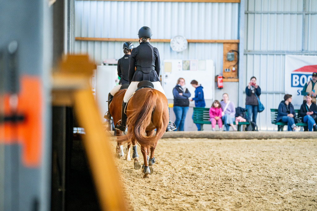 DSC01406 | Pferdegrafie