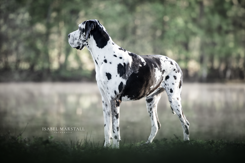IM_02914_Web | Isabel Marstall Fotografie - Realisiert mit Pictrs.com