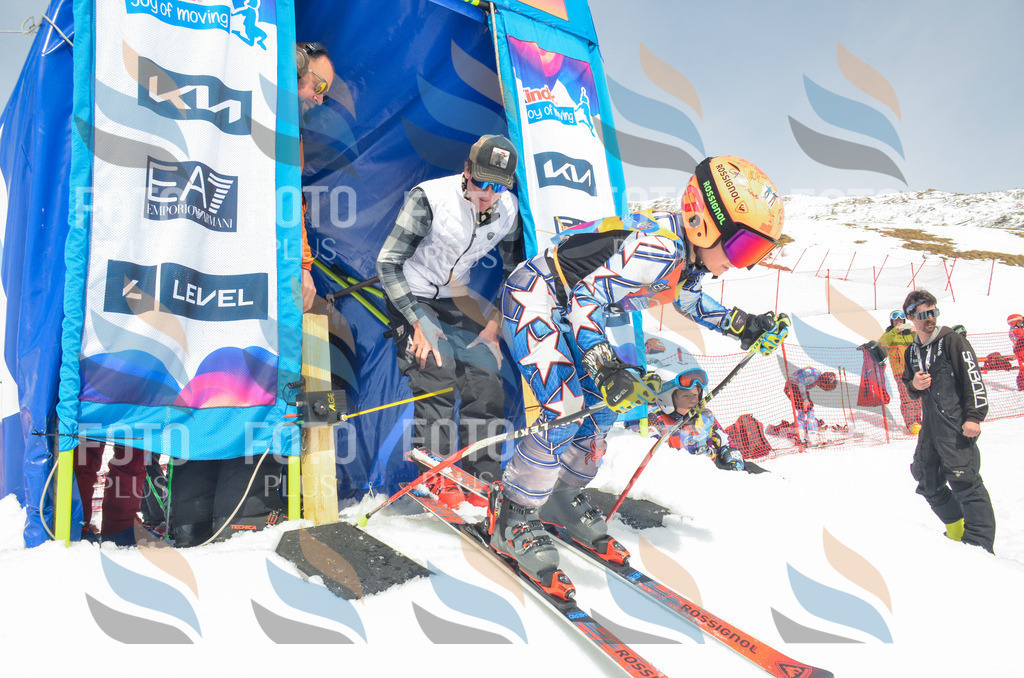 _ELE7577 | holidayphoto