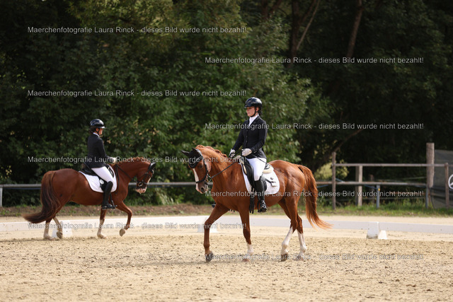 HG9A1602 | laurarinckfotografie - Realisiert mit Pictrs.com