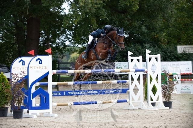 2B4A2445 | pixelfaenger - Realisiert mit Pictrs.com