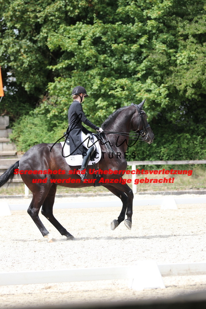 IMG_1840 | lmwpictures - Realisiert mit Pictrs.com