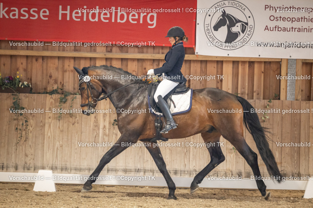 _D5A8585 | Emotionale Pferde- & People-Fotografie rund um Heidelberg, Leimen & Umgebung. Natürliche Fotos von Pferd, Mensch & Familie. Jetzt Termin sichern!