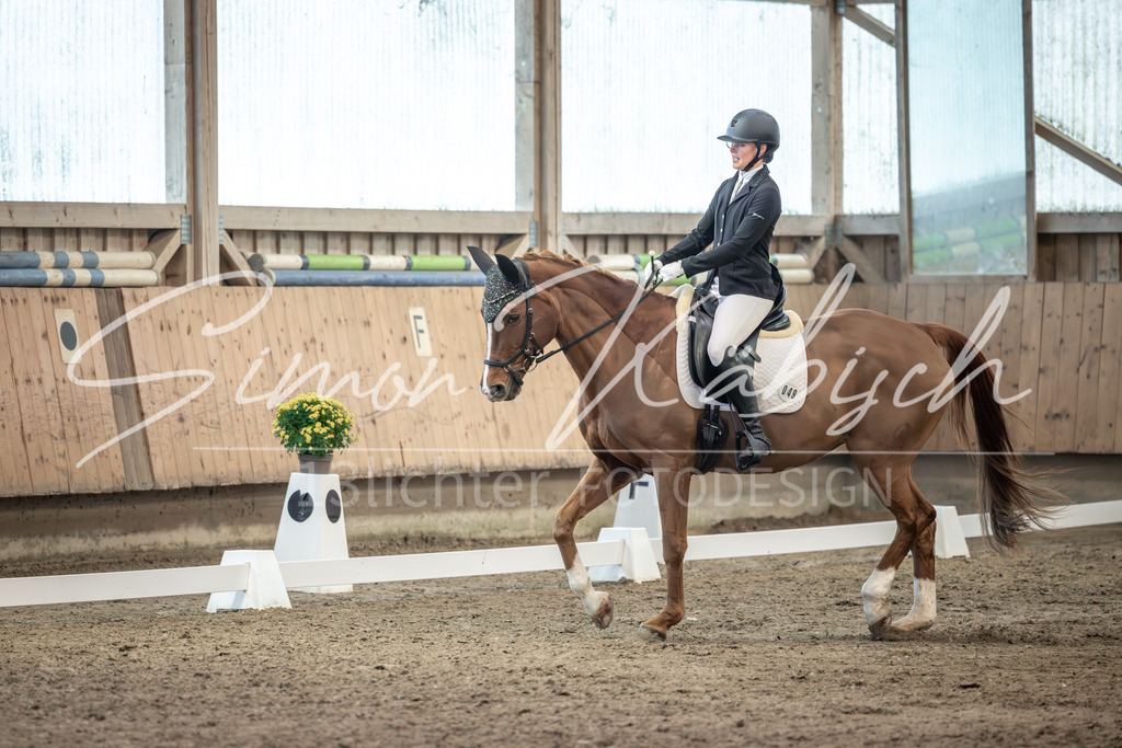 20251011-_3LI5914 | Tierfotografie Pferde, Hunde, Katzen, Haustiere.
Turnierfotografie Reitturniere, Reiten, Springreiten, Dressur in Hanau, dem Main-Kinzig-Kreis und dem Rhein-Main- Gebiet um Frankfurt