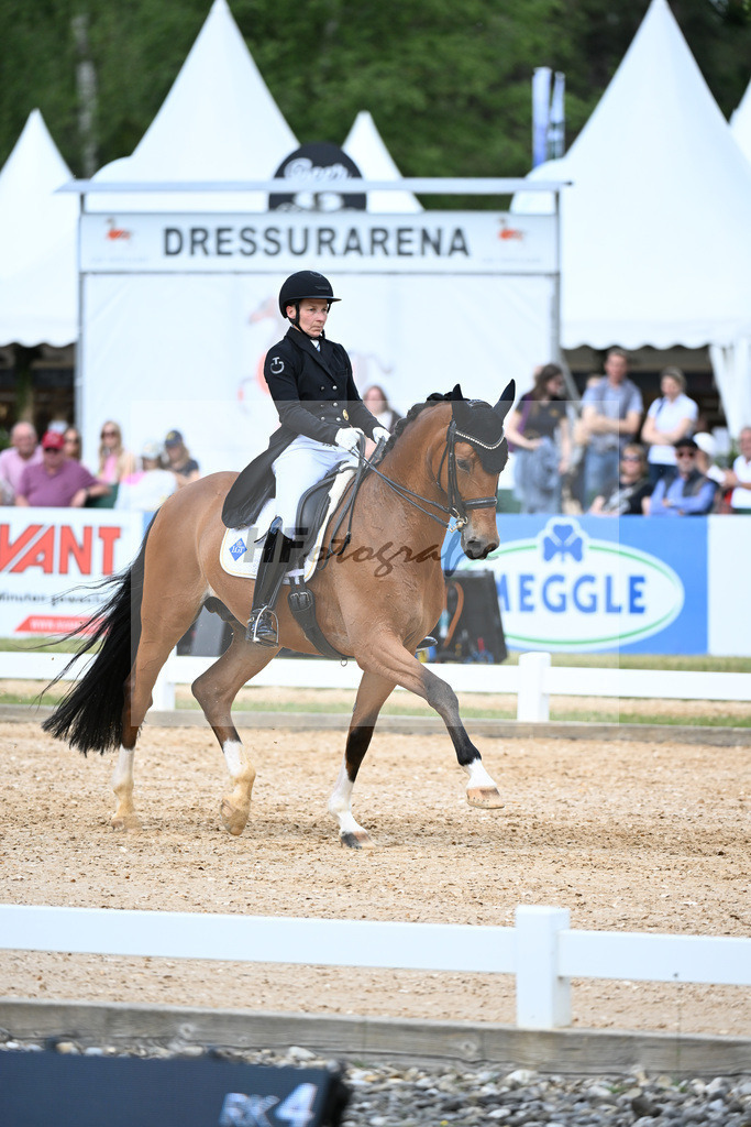 Anhalt_Rocco Granata_11252467 | hf-fotografie - Realizzato con Pictrs.com