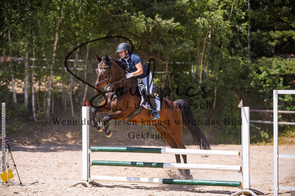 A7V08550 | Pferdefotograf