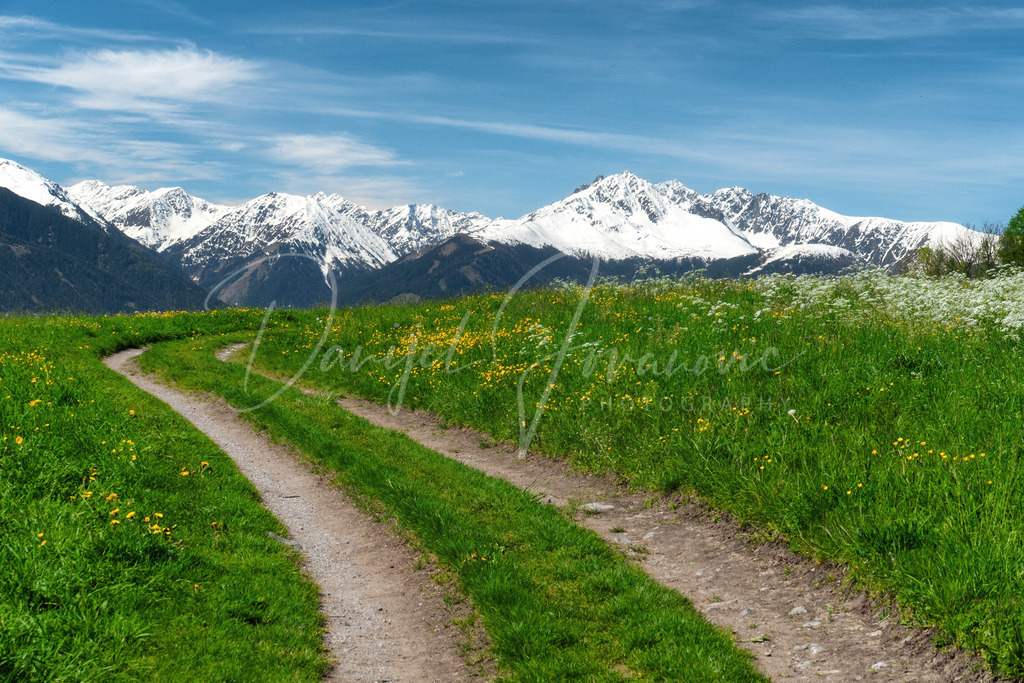 Frühling | Frühling in Arzl mit Blick zum Rosskogel