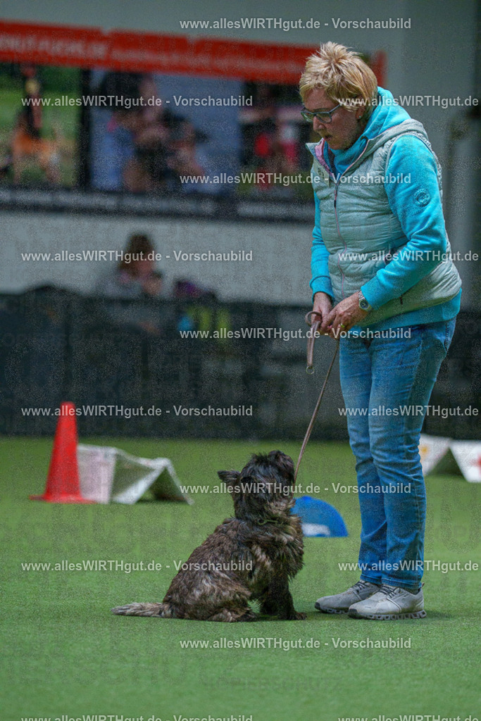 7R503220 | Professionelle Tierfotografie in Mönchengladbach von Daniel Wirth (allesWIRTHgut). Liebevolle & natürliche Bilder von Hunden & Katzen für unvergessliche Erinnerungen.