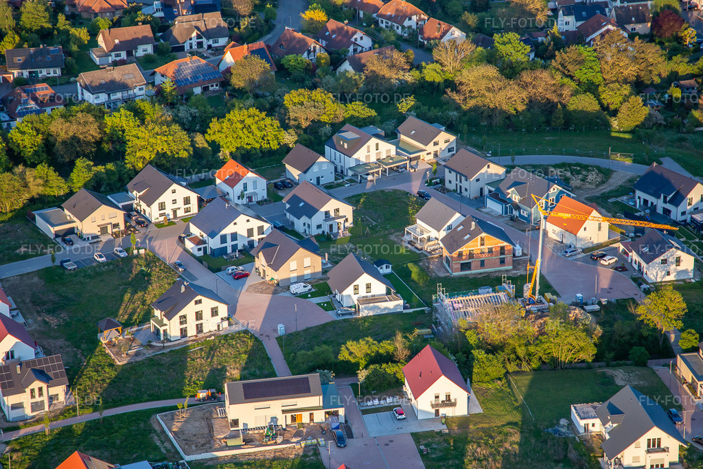 Luftbild: Rosen- und Fliederweg in Kandel im Bundesland Rheinland-Pfalz in Deutschland. Foto: IMG_140370.jpg vom 23.04.2024 durch Werner Riehm/FLY-FOTO.de