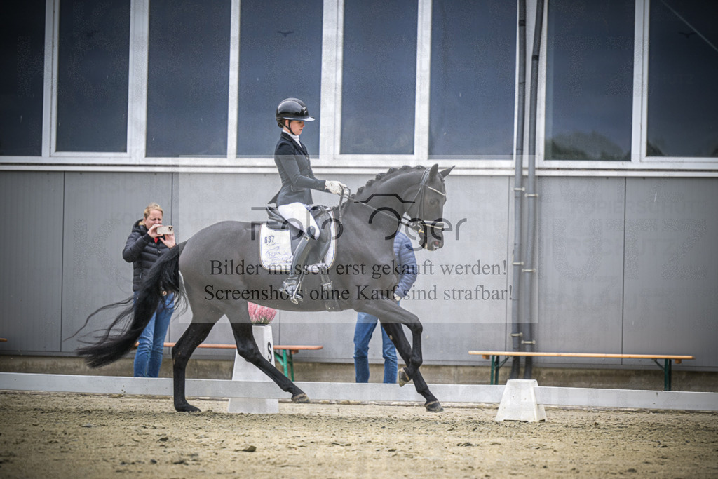 DOS_0747 | Entdecke hochwertige Reitturnierfotos von Foto Oger. Professionell, emotional und authentisch – jetzt Lieblingsmomente im Shop bestellen.Deutschlandweite Turnierfotografie. - Realisiert mit Pictrs.com