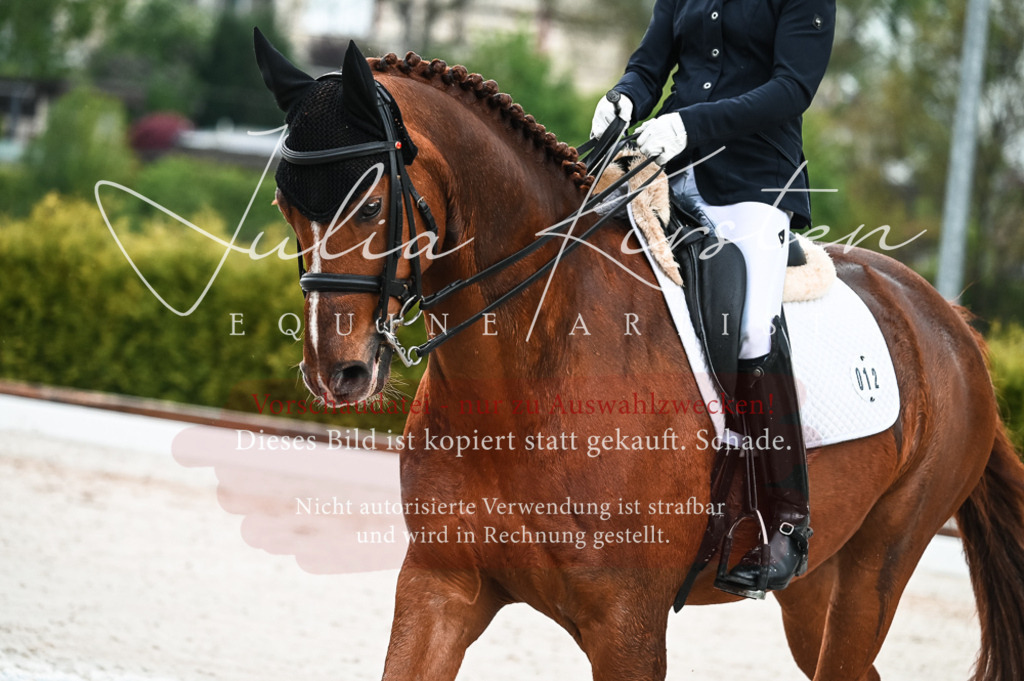 DSC_4242 | Pferde- und Turnierfotografie in Westsachsen. Pferdeportraits, Auftragszeichnungen und intuitive Kunst.
