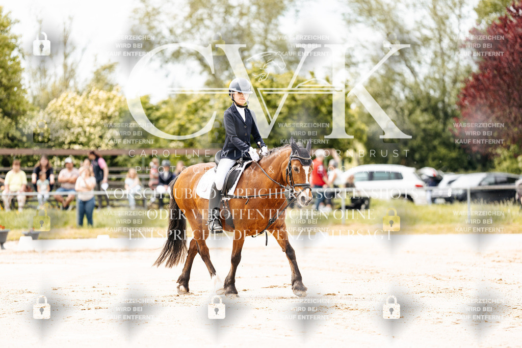 CK902649 | Turnierfotografie Pferdefotografie Trier Rheinland-Pfalz Pferdesport Reitsport Tierfotografie Sportfotografie Pferdevideo Pferdevideografie Equestrianvideography equestrianphotography  - Realisiert mit Pictrs.com