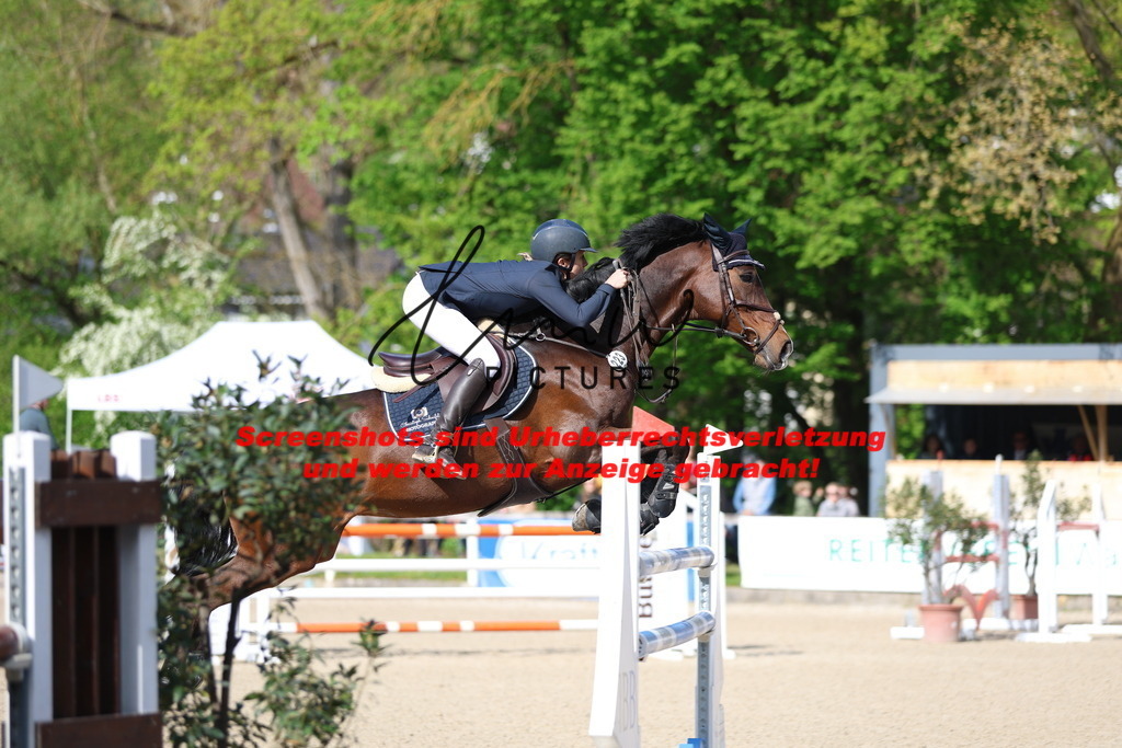 A40A2737 | lmwpictures - Realisiert mit Pictrs.com