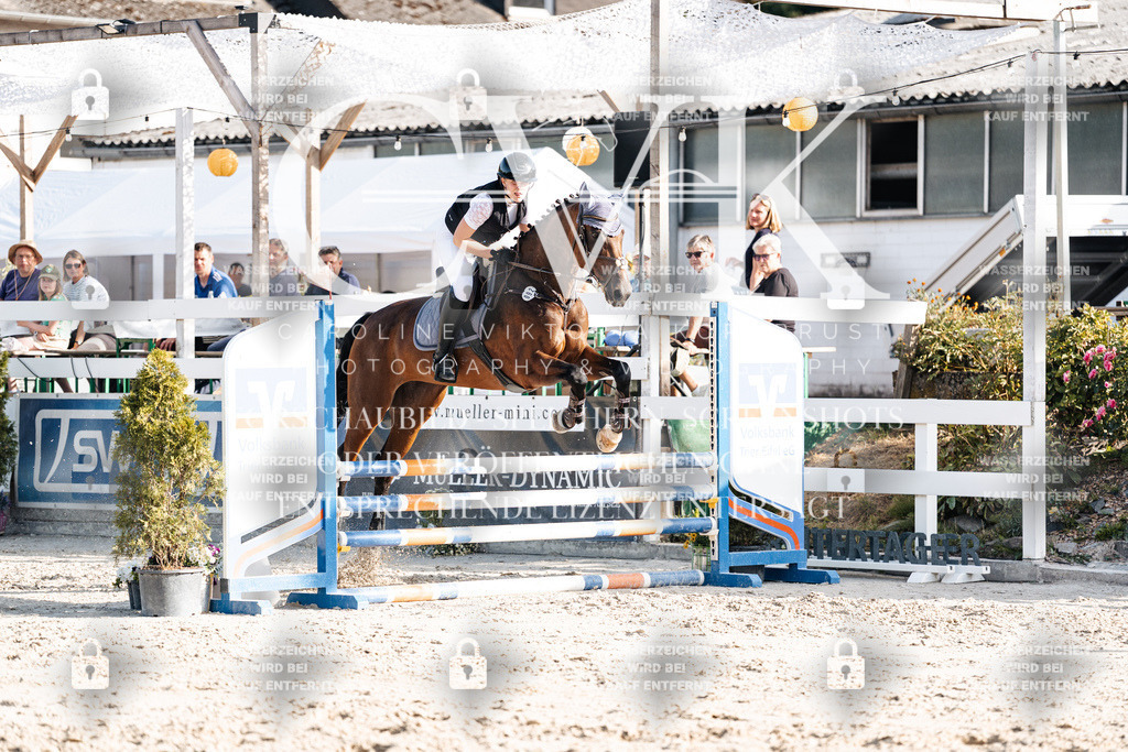 CK909626 | Turnierfotografie Pferdefotografie Trier Rheinland-Pfalz Pferdesport Reitsport Tierfotografie Sportfotografie Pferdevideo Pferdevideografie Equestrianvideography equestrianphotography  - Realisiert mit Pictrs.com