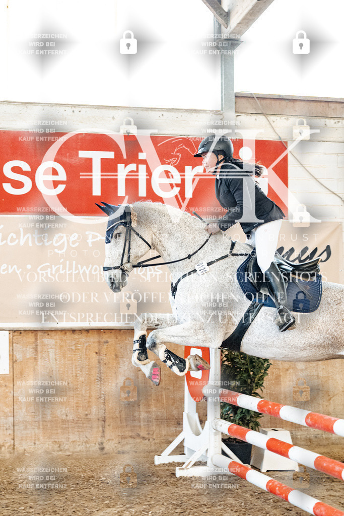 CK904329 | Turnierfotografie Pferdefotografie Trier Rheinland-Pfalz Pferdesport Reitsport Tierfotografie Sportfotografie Pferdevideo Pferdevideografie Equestrianvideography equestrianphotography  - Realized with Pictrs.com