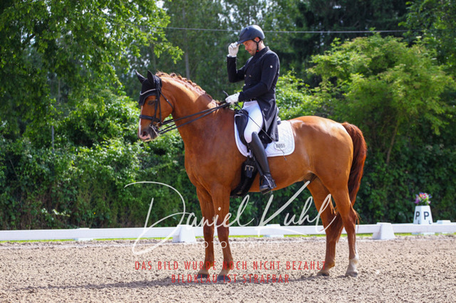DKP41269 | Deine Turnierfotos vom Reitturnier online kaufen: Dressur, Springen & Siegerehrung. Professionelle Pferdefotografie aus dem Rheinland – als Download & Print.Alternative: Turnierfotograf für den Pferdesport: Finde deine Fotos von Dressur- und Springturnier