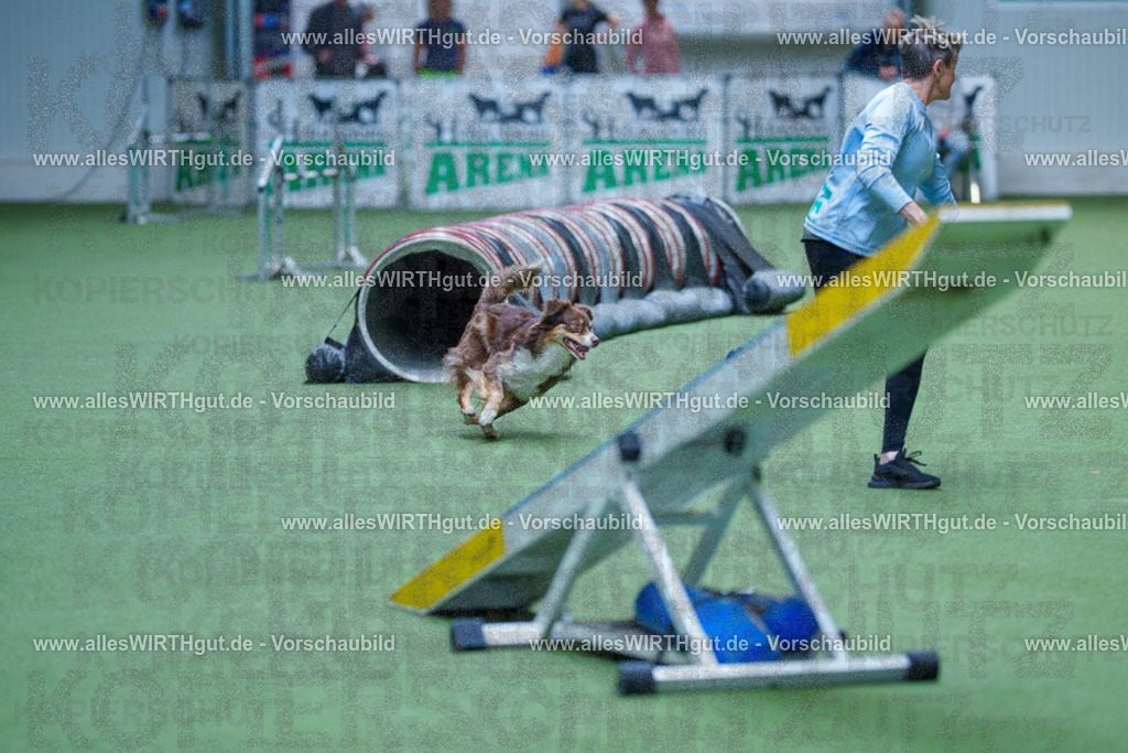 @allesWIRTHgut_Tierfotografie - www.allesWIRTHgut.de - 2604251339-7R503738 | Professionelle Tierfotografie in Mönchengladbach von Daniel Wirth (allesWIRTHgut). Liebevolle & natürliche Bilder von Hunden & Katzen für unvergessliche Erinnerungen.