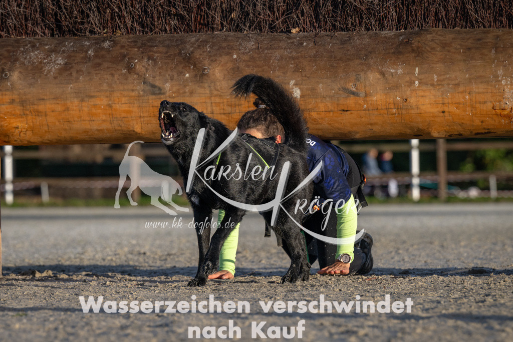 0915-93100 | kk-dogfotos