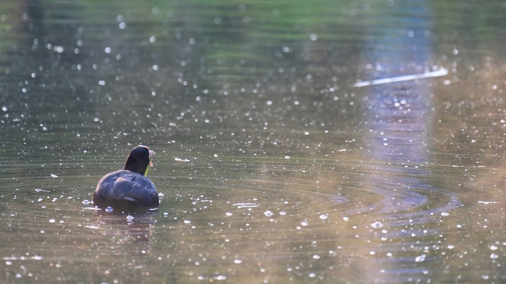 Z72_1725 | Freier Fotograf aus Itzehoe. Kontakt via instagram.com/f0t0kunst/ - Realisiert mit Pictrs.com