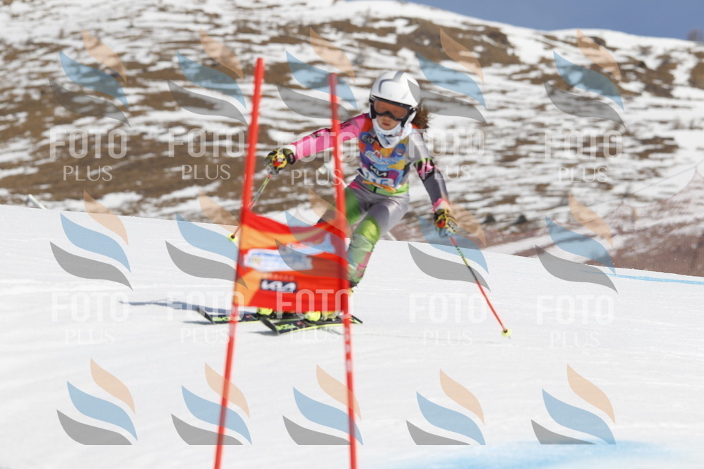 _U3G0603 | holidayphoto