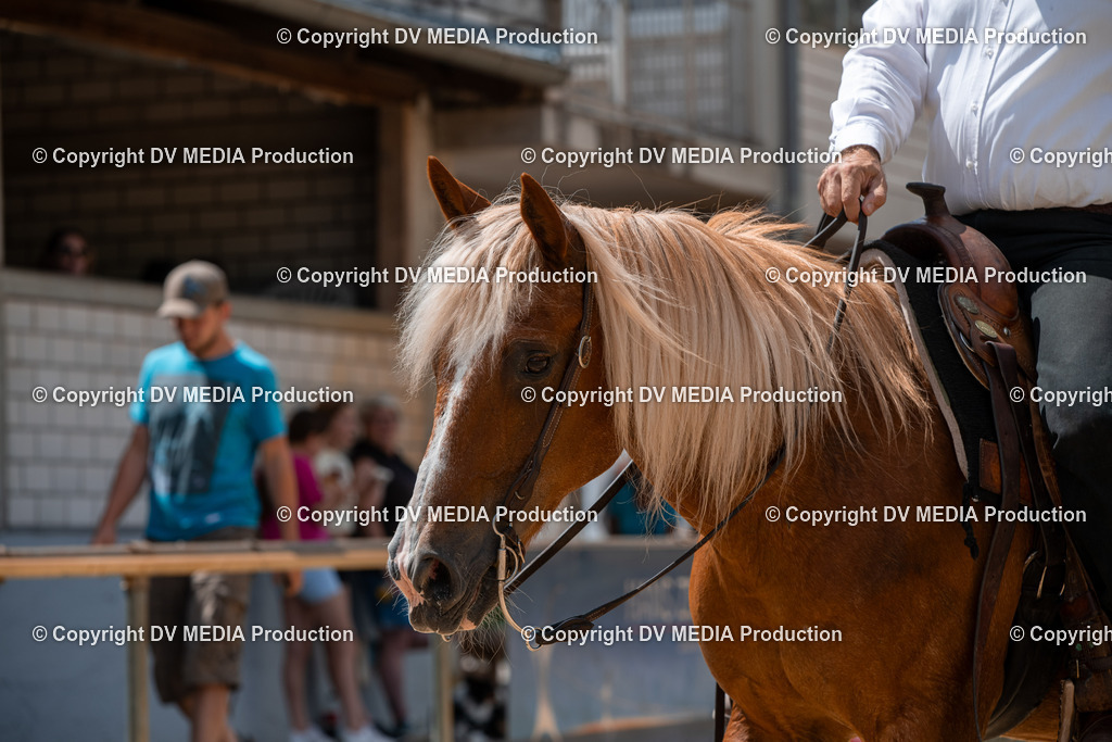 ZS3_9801 | dv-media-shop - Realisiert mit Pictrs.com