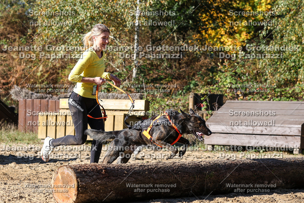 Dog Paparazzi - Strongdog 10-25-2600 | Dog Paparazzi Jeanette Grottendiek Fotografie & Videografie - Realisiert mit Pictrs.com