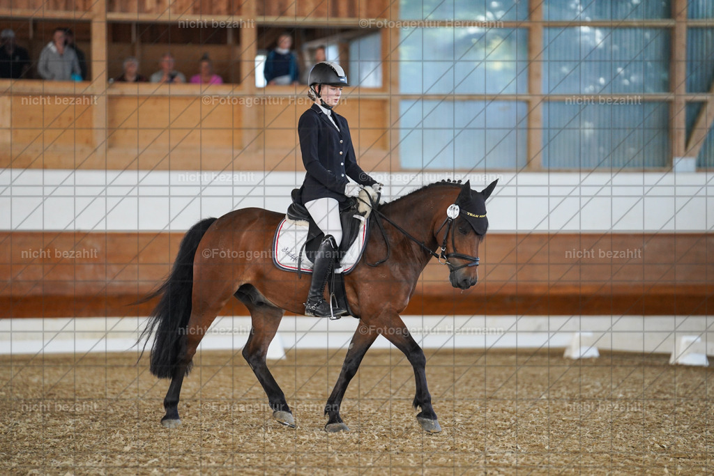 20240824-FAH07031 | Thierhaupten 2024, Bayerisches Landesponyturnier, Turnierbilder, Ponybilder, Turnierfotografen Bayern, Fotoagentur Herrmann