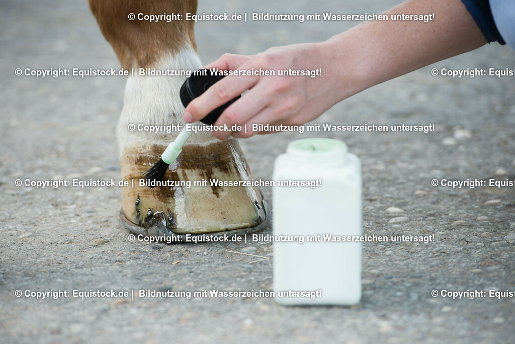 20160626_Hufpflege_0016-2 | Foto: Thomas Hartig