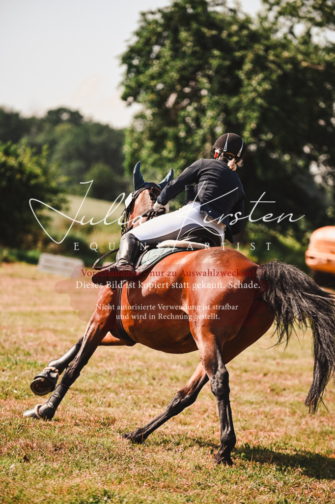 DSC_7371 | Pferde- und Turnierfotografie in Westsachsen. Pferdeportraits, Auftragszeichnungen und intuitive Kunst.